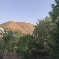 285-متر-کاربری-مسکونی-سند-تک-برگ-رودهن