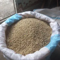 عدس|لوازم جانبی حیوانات|خلخال, |دیوار