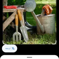 انجام کلیه امور باغبانی.کاشت و هرس درختان|خدمات باغبانی و درختکاری|کرمان, |دیوار
