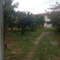 فروش خونه باغ زیبا و بکر|فروش خانه و ویلا|تولم شهر, |دیوار