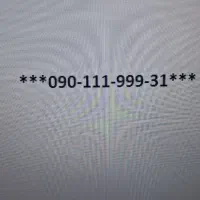 سیمکارت رند 31-999-111-090