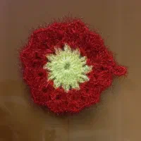 اسکاج|لوازم نظافت|اصفهان, نقش جهان|دیوار