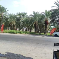 یک خانواده سه نفره برای کار در روستاعشایری دام دار