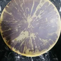 دف میثم