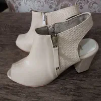 در سایز واندازه های مختلف|لباس|مرند, |دیوار