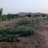 زمین-متراژ-بالا
