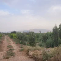 فروش باغ قابلیت دامداری و گلخانه
