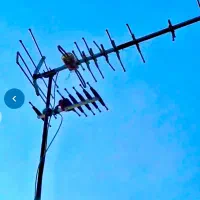 نصب و تنظیم آنتن و نصاب تلویزیون
