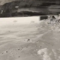 گمشده برگ سبز