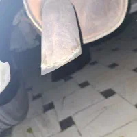 سری اگزوز پیدا کردم