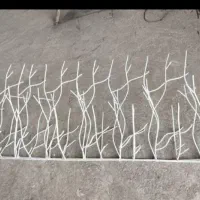 حفاظ و شاخ گوزنی