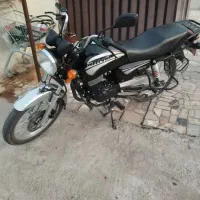باکسر دینو صفر