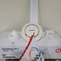 پنکه سقفی ایگوسونیکی و مرغ عشق انگلیسی ماده