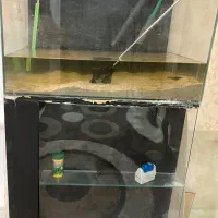 آکواریوم با لوازم|ماهی|کرج, عظیمیه|دیوار