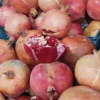 انار ساوه