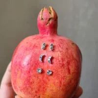 گوشواره