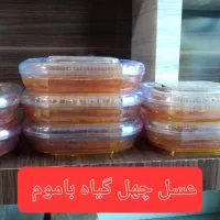 فروش عسل خوانسار|خوردنی و آشامیدنی|تهران, اختیاریه|دیوار