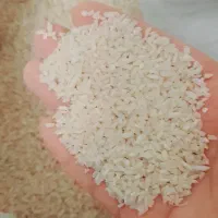 برنج لاشه هاشمی