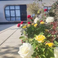 عمارت لوکس نوساز اجاره باغ ویلا لاکچری مشهد