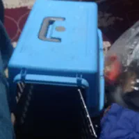 وسایل سگ  ۷۰۰ تومن