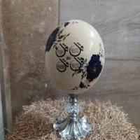 تخم شترمرغ دکوری|صنایع دستی و سایر لوازم تزئینی|ساری, |دیوار