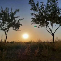 فروش باغ و زمین دو هکتاری پسته و انار لالایین فوری|فروش زمین و ملک کلنگی|ساوه, |دیوار