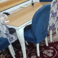 میز|میز و صندلی غذاخوری|اهواز, کارون|دیوار