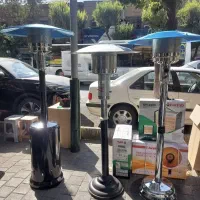 هیتر چتری قارچی بخاری چتری کپسولی zagros