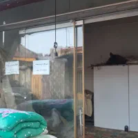 فروش یک باب مغازه|فروش مغازه و غرفه|رشت, سلیمانداراب|دیوار