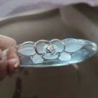 والتر آلمان