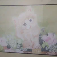 تابلوگربه ی زیبا