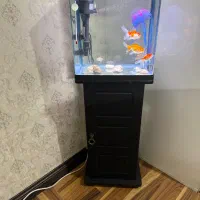 آکواریوم دلسا مدل k320 با پایه کمدی