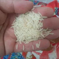 برنج هندی|خوردنی و آشامیدنی|نیشابور, چمبران|دیوار