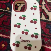 قاب سیلیکونی