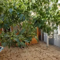 ملک کلنگی 130متری در بیلانکو