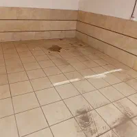 تمیز کاری و وجابه جایی اثاثیه هرکاری که باشه ...