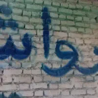 نیروی کارواش
