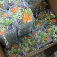 نیروی خانم دائم