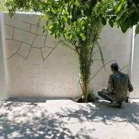 کارگر نقاش روز مزد