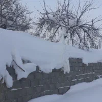 خونه