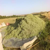 باسلام حدود یک تن وخورده ای یونجه سبز باکیفیت