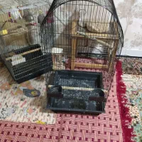 قفس بزرگ