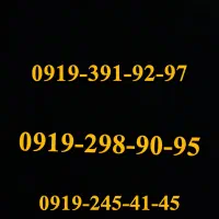 سیم کارت 919رند