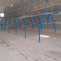 قفس مرغ تخم گذار|لوازم جانبی حیوانات|شهریار, کهنز|دیوار