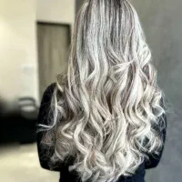 رنگ ولایت حرفه ای رایگان