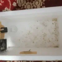 دستگاه‌ جوجه کشی 35تایی نهبندان