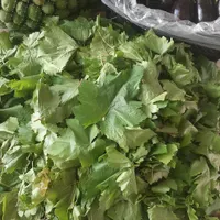 انبه بدون هسته،سپستان،میناب ورودان،ترشی انبه دریزد|خوردنی و آشامیدنی|یزد, |دیوار