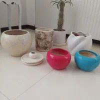 گلدان|گل و گیاه طبیعی|کرج, شهرک امیر المومنین|دیوار