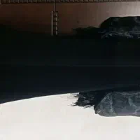 فروش لباس مجلسی|لباس|ساری, |دیوار