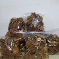 قارچ گانودرما خالص